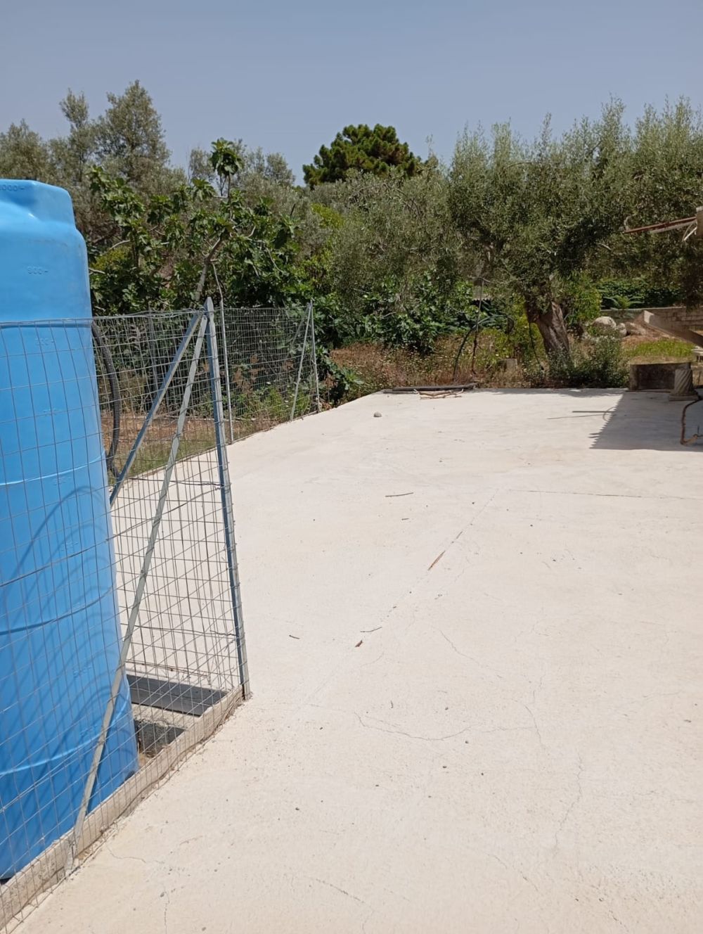 Magazzino deposito merci - MEGA SERVICE IMMOBILIARE